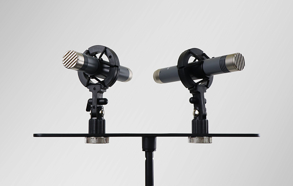 AuraSonics AP22-MP инструментальные студийные микрофоны, подобранная пара