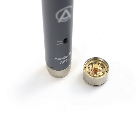 AuraSonics AP22-MP инструментальные студийные микрофоны, подобранная пара