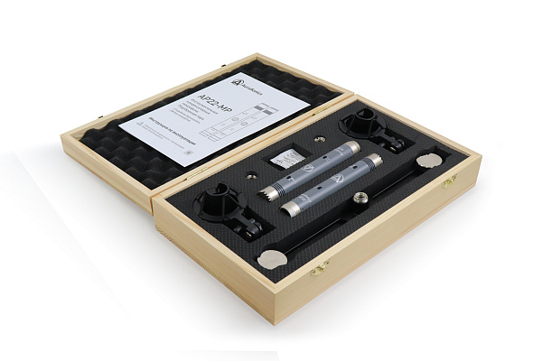 AuraSonics AP22-MP инструментальные студийные микрофоны, подобранная пара