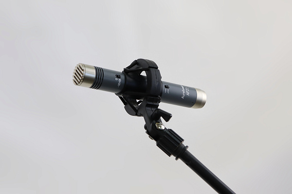 AuraSonics AP22-MP инструментальные студийные микрофоны, подобранная пара