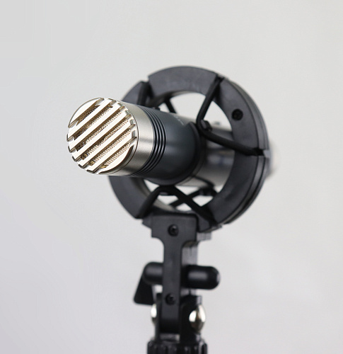 AuraSonics AP22-MP инструментальные студийные микрофоны, подобранная пара